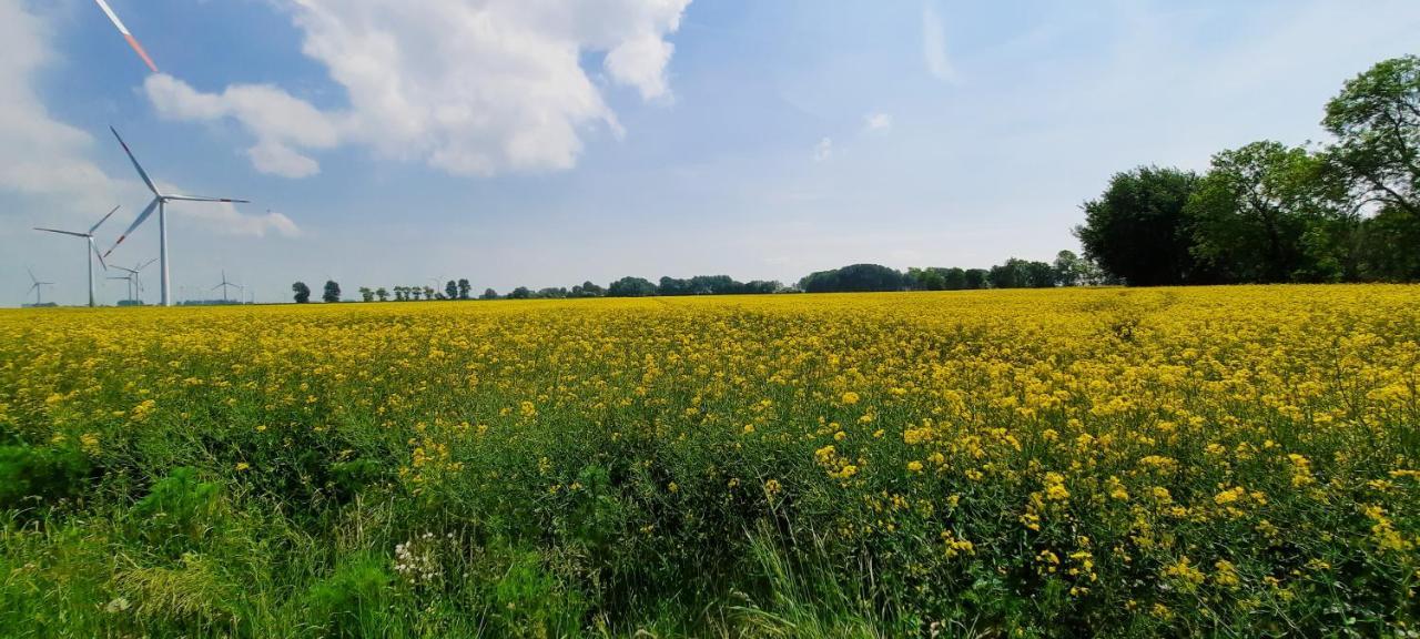 Ferienwohnung Goden-Wind Westerdeichstrich Dış mekan fotoğraf